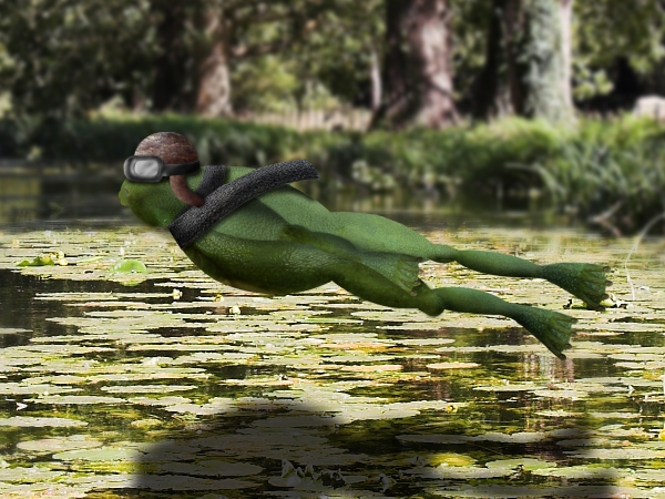 Creation of flying frog: Step 5